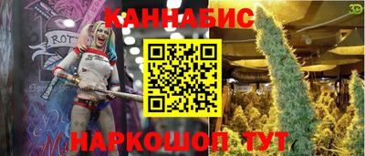 прущие крисы Будённовск