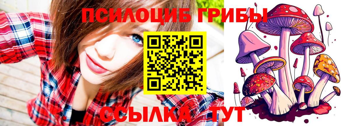 Псилоцибиновые грибы Cubensis Радужный